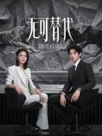 《无可替代》免费观看全集